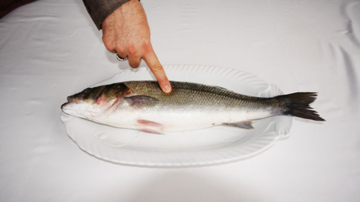 Taze balık nasıl anlaşılır? İşte taze balığı anlamanın yolları…