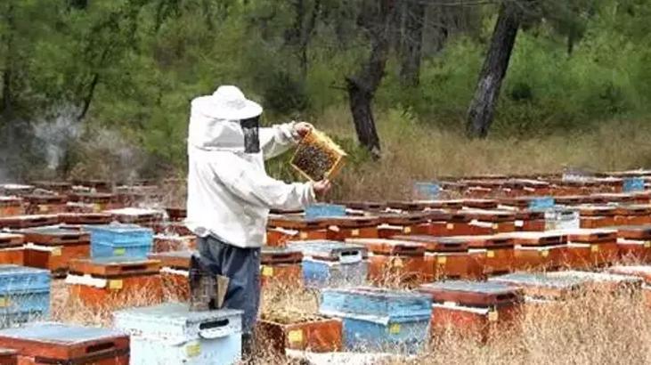 Adana’da feci olay! Üzerinde korumalı kıyafet olmasına rağmen arı soktu hayatını kaybetti